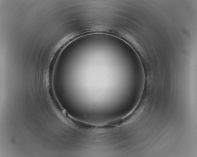 X0000113531034200909181131