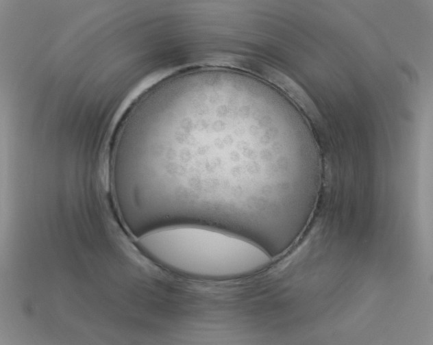 X0000113531036200909181131