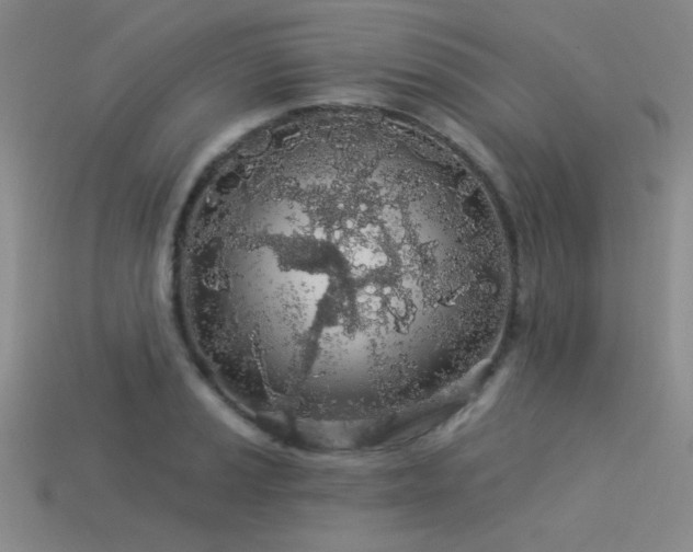 X0000113531037200909181131