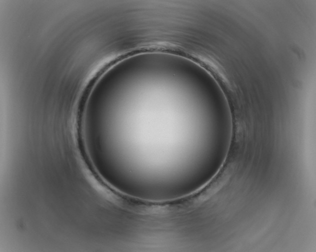 X0000113531038200909181131
