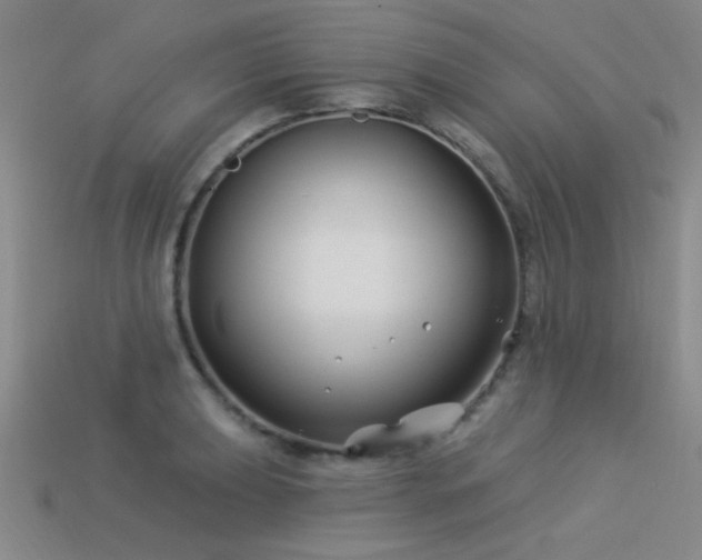 X0000113531039200909181131