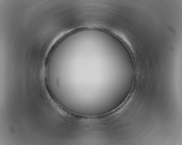 X0000113531040200909181131