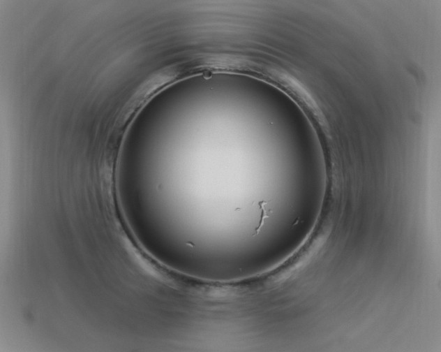 X0000113531041200909181131
