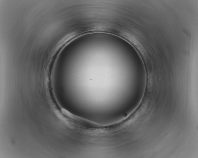 X0000113531042200909181131
