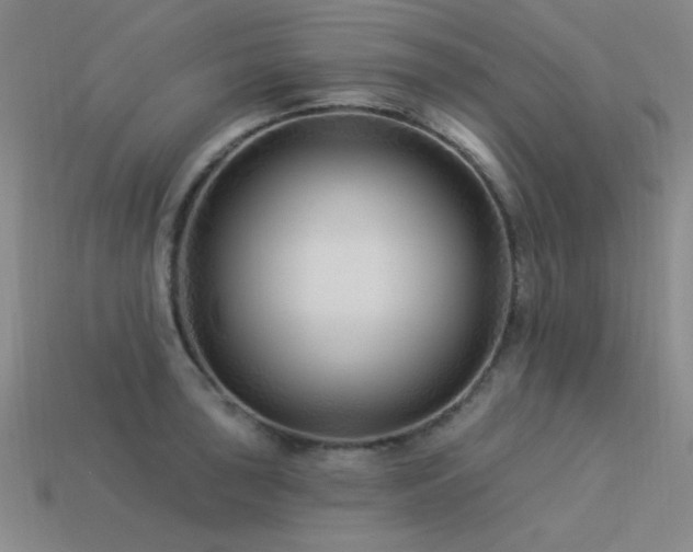 X0000113531043200909181131