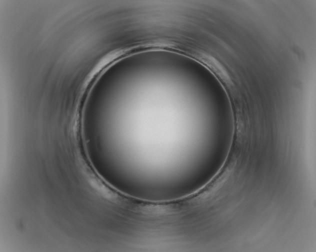 X0000113531044200909181131