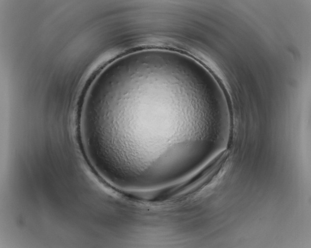 X0000113531045200909181131