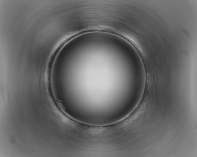 X0000113531046200909181131