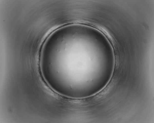 X0000113531048200909181131