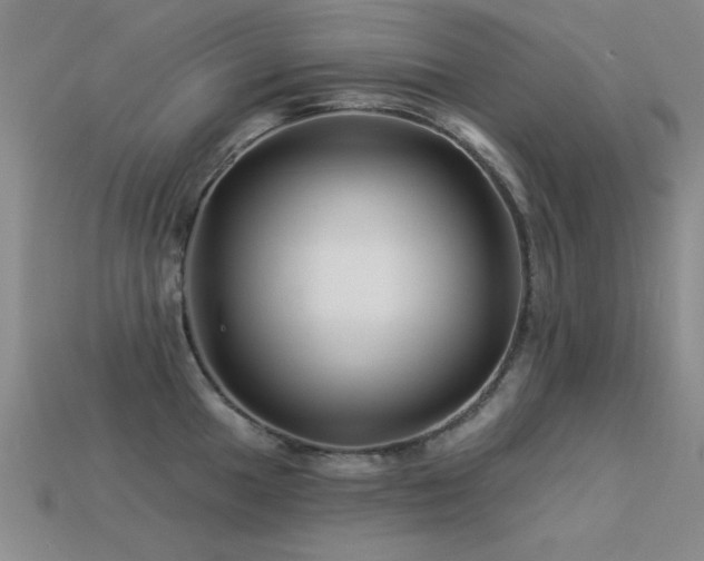 X0000113531049200909181131