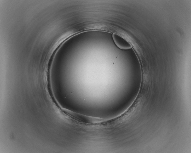 X0000113531050200909181131