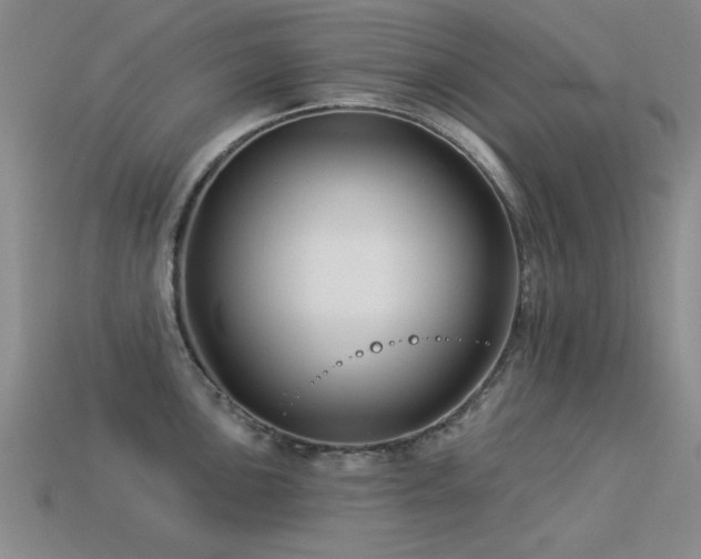 X0000113531051200909181131