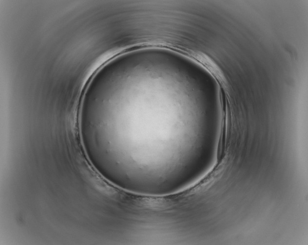 X0000113531052200909181131