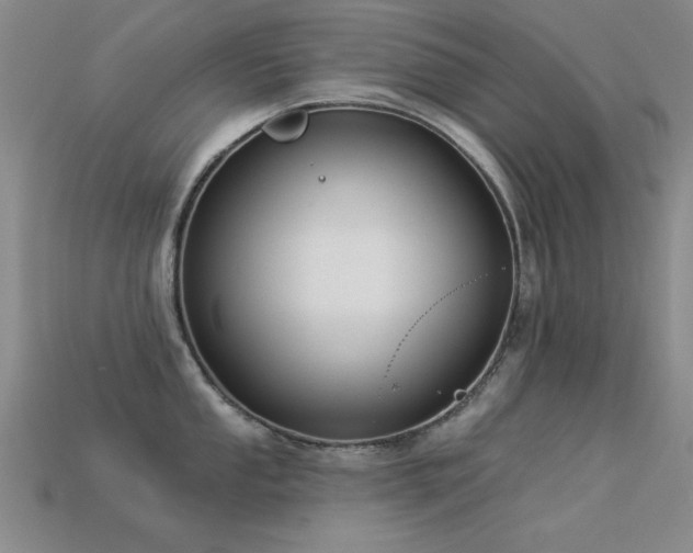 X0000113531053200909181131