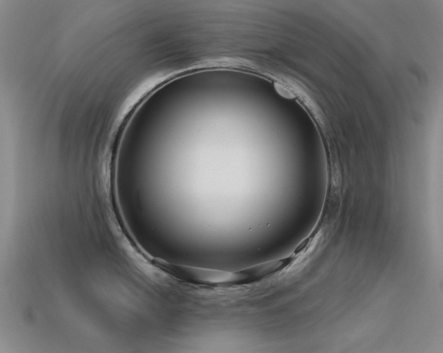 X0000113531054200909181131