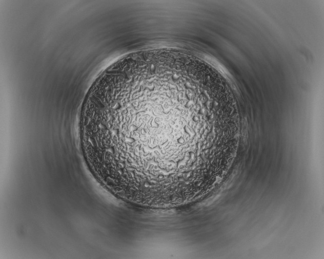 X0000113531055200909181131