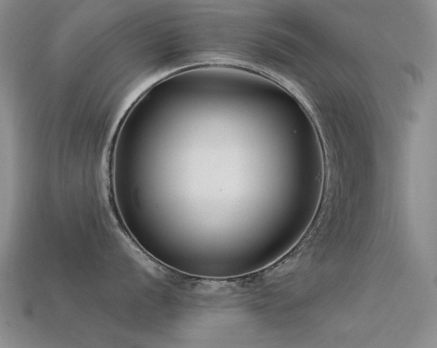 X0000113531056200909181131