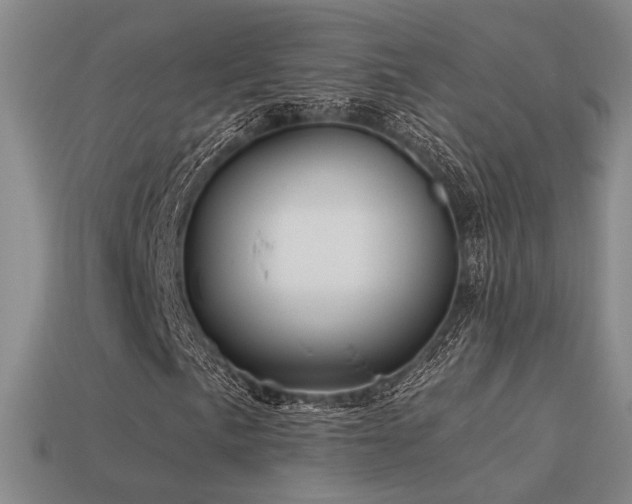 X0000113531057200909181130