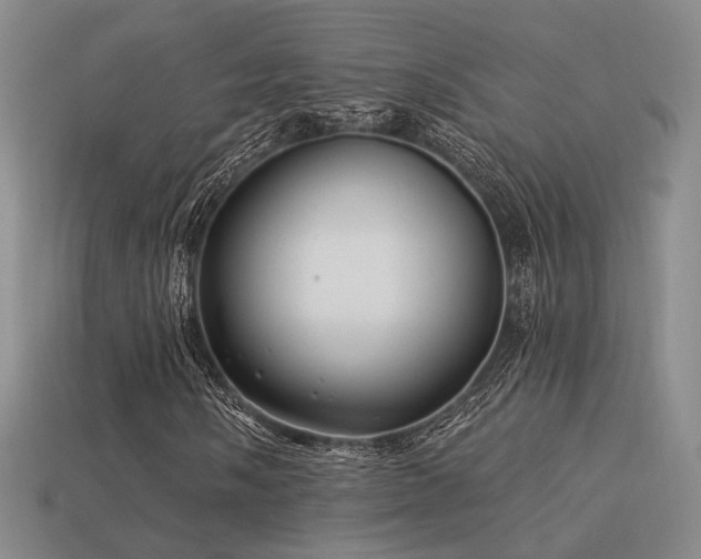 X0000113531058200909181130
