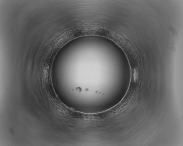X0000113531059200909181130