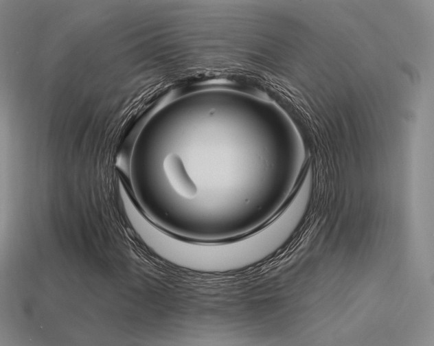 X0000113531060200909181130