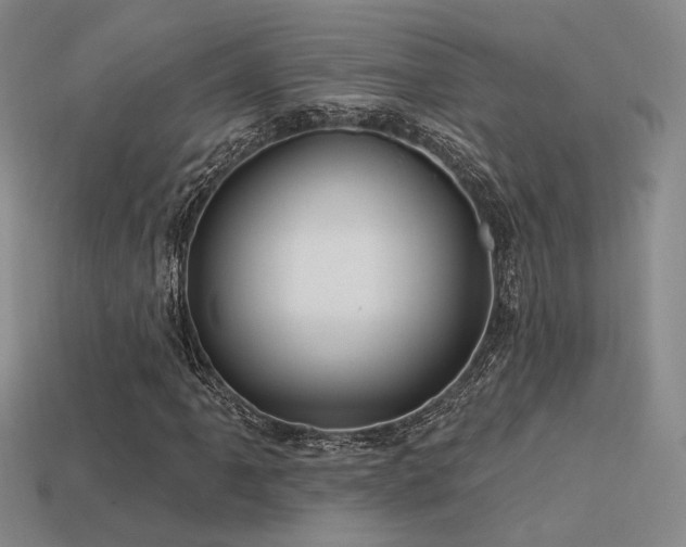 X0000113531061200909181130