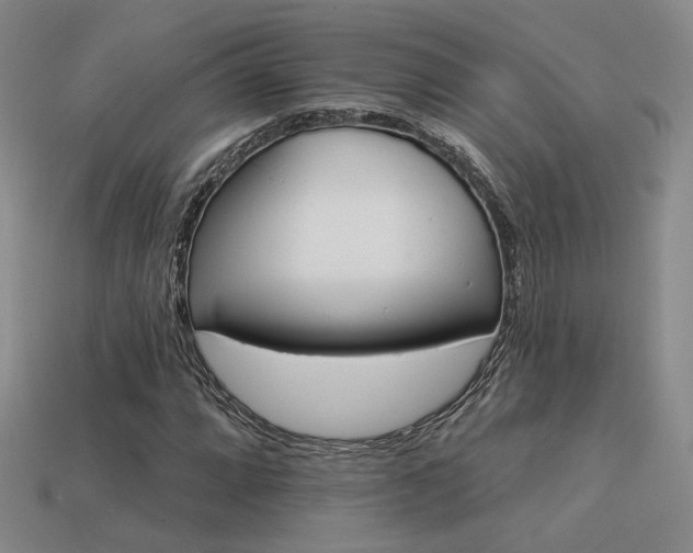 X0000113531064200909181130