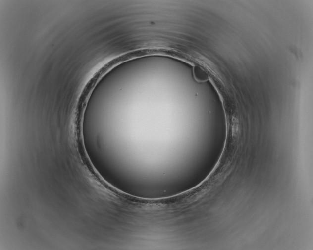 X0000113531068200909181130
