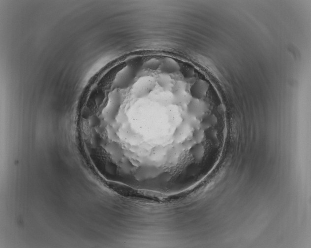 X0000113531071200909181130