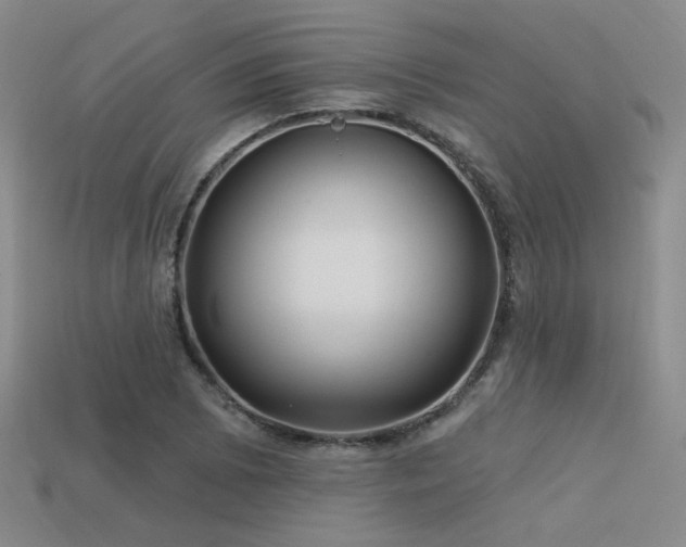 X0000113531073200909181130