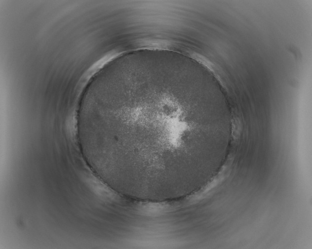 X0000113531074200909181130