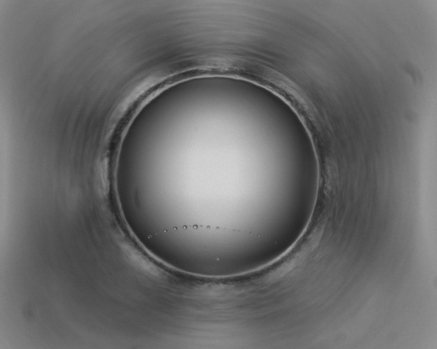 X0000113531075200909181130