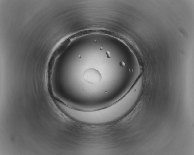 X0000113531076200909181130
