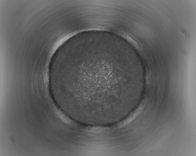 X0000113531077200909181130