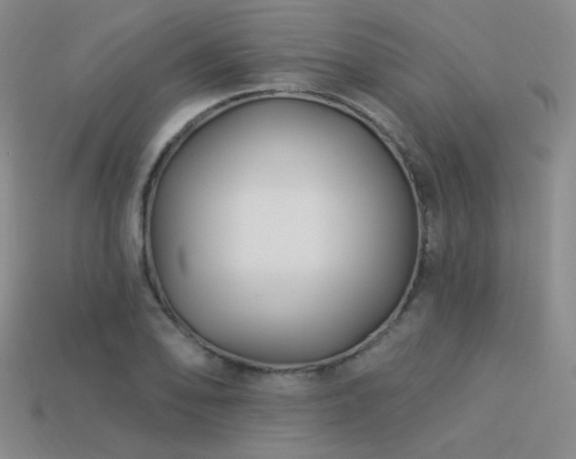 X0000113531078200909181130