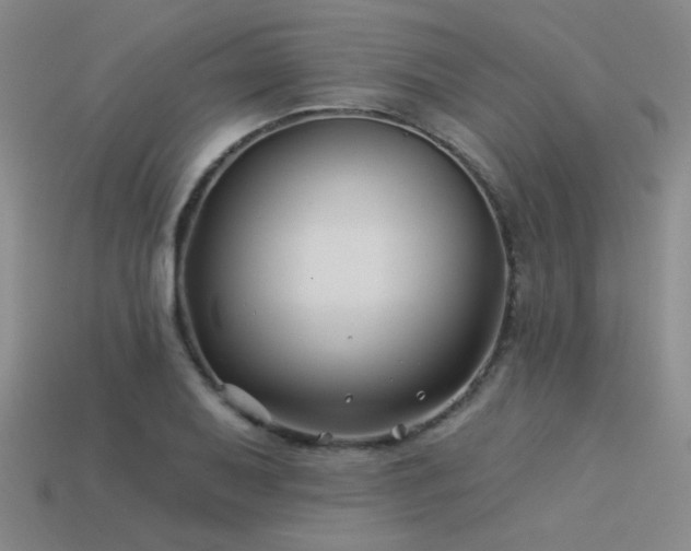 X0000113531079200909181130