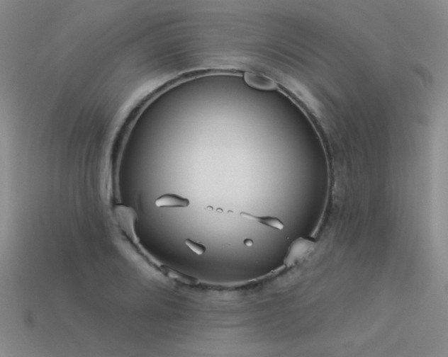 X0000113531080200909181130