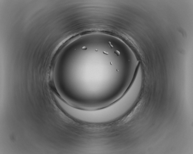 X0000113531081200909181130