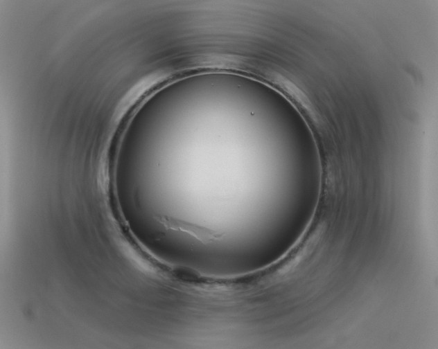 X0000113531082200909181130