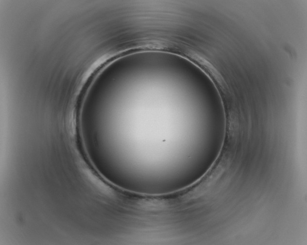 X0000113531083200909181130