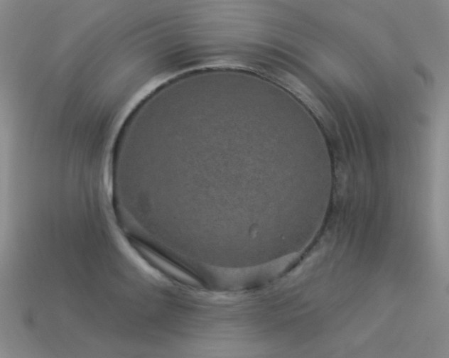 X0000113531084200909181130