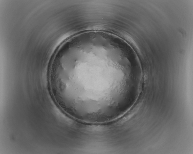 X0000113531087200909181130