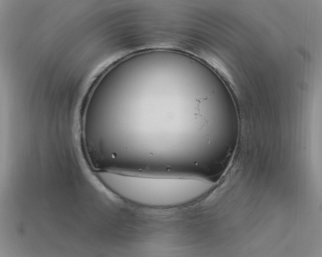 X0000113531088200909181130