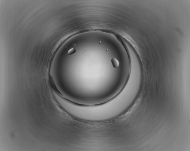X0000113531089200909181130