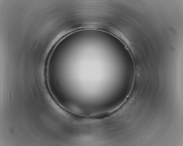 X0000113531091200909181130