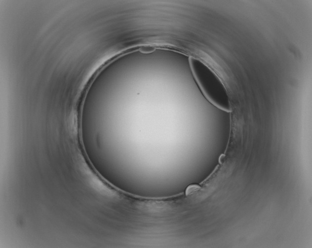 X0000113531092200909181130