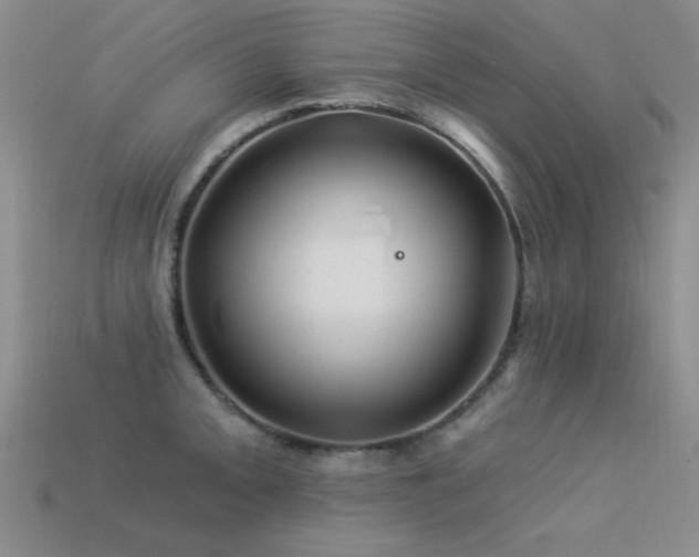 X0000113531093200909181130
