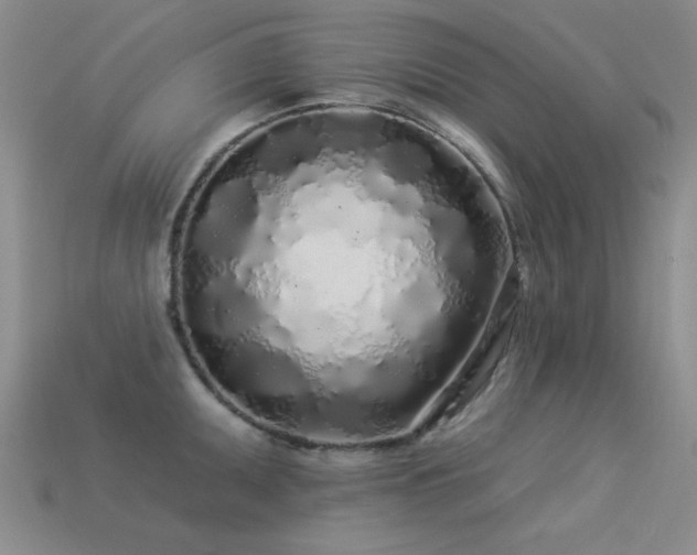 X0000113531095200909181130