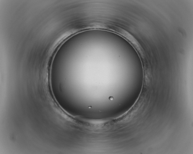 X0000113531096200909181130