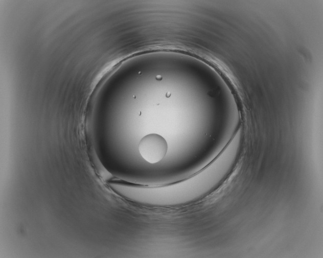X0000113531097200909181130